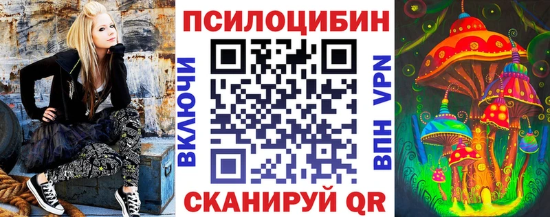 Псилоцибиновые грибы Psilocybe  Купить где  Сибай 